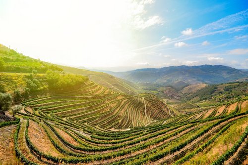 Régua Die Weinbauregion Régua erleben